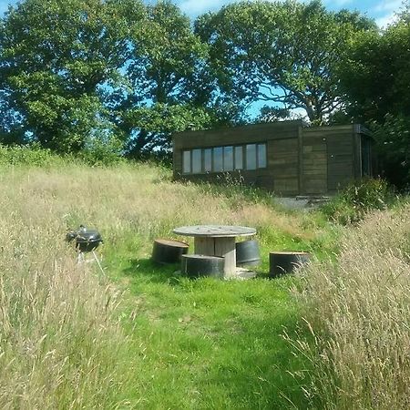 Stags View,Unique Eco Cabin, Dartmoor Views South Brent Kültér fotó