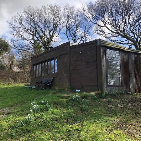 Stags View,Unique Eco Cabin, Dartmoor Views South Brent Kültér fotó