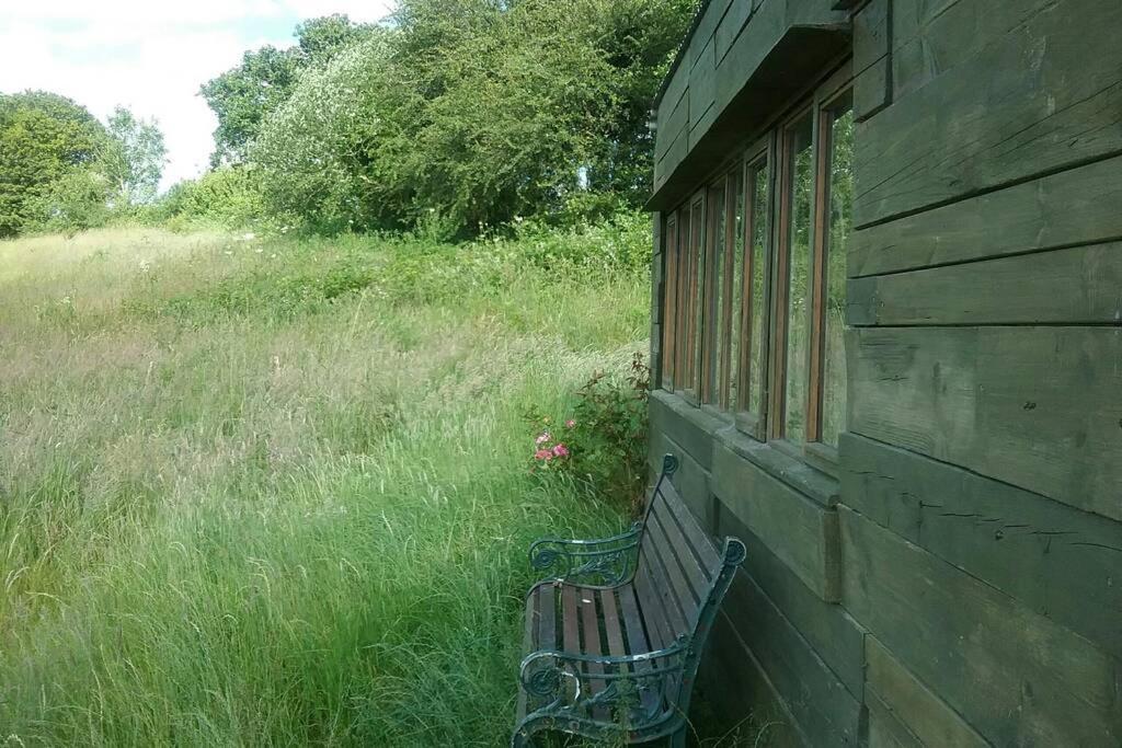 Stags View,Unique Eco Cabin, Dartmoor Views South Brent Kültér fotó