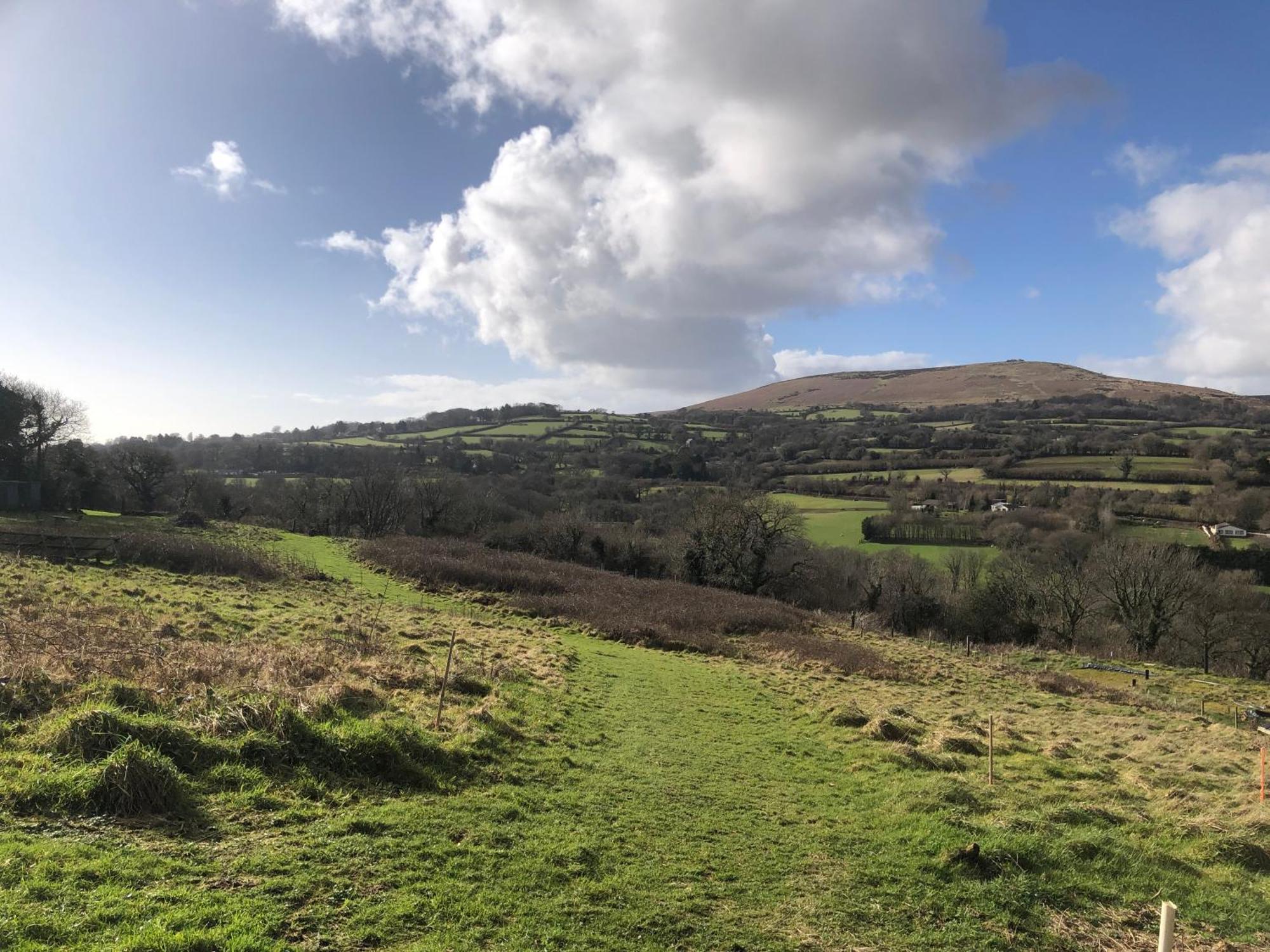 Stags View,Unique Eco Cabin, Dartmoor Views South Brent Kültér fotó