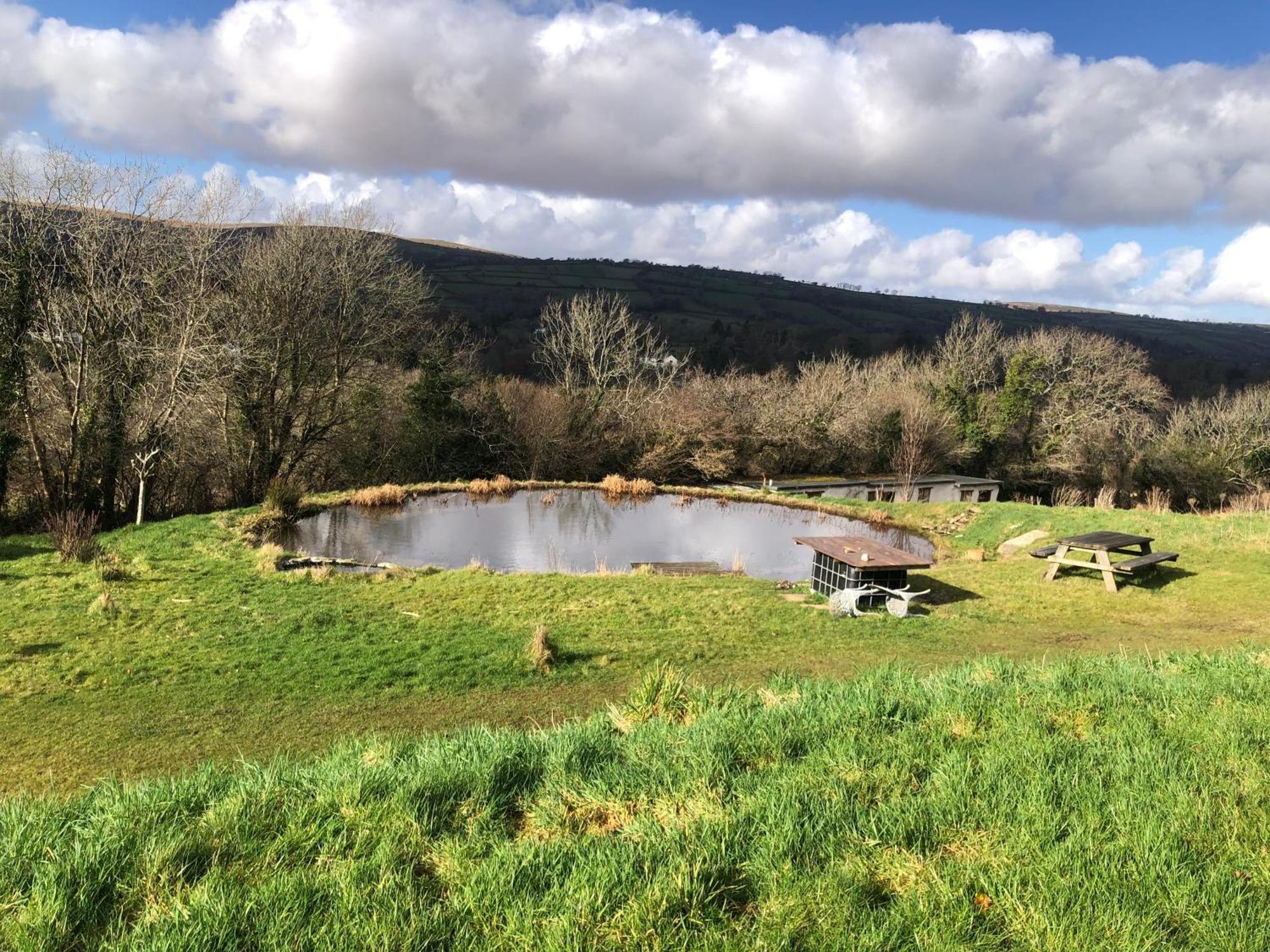 Stags View,Unique Eco Cabin, Dartmoor Views South Brent Kültér fotó